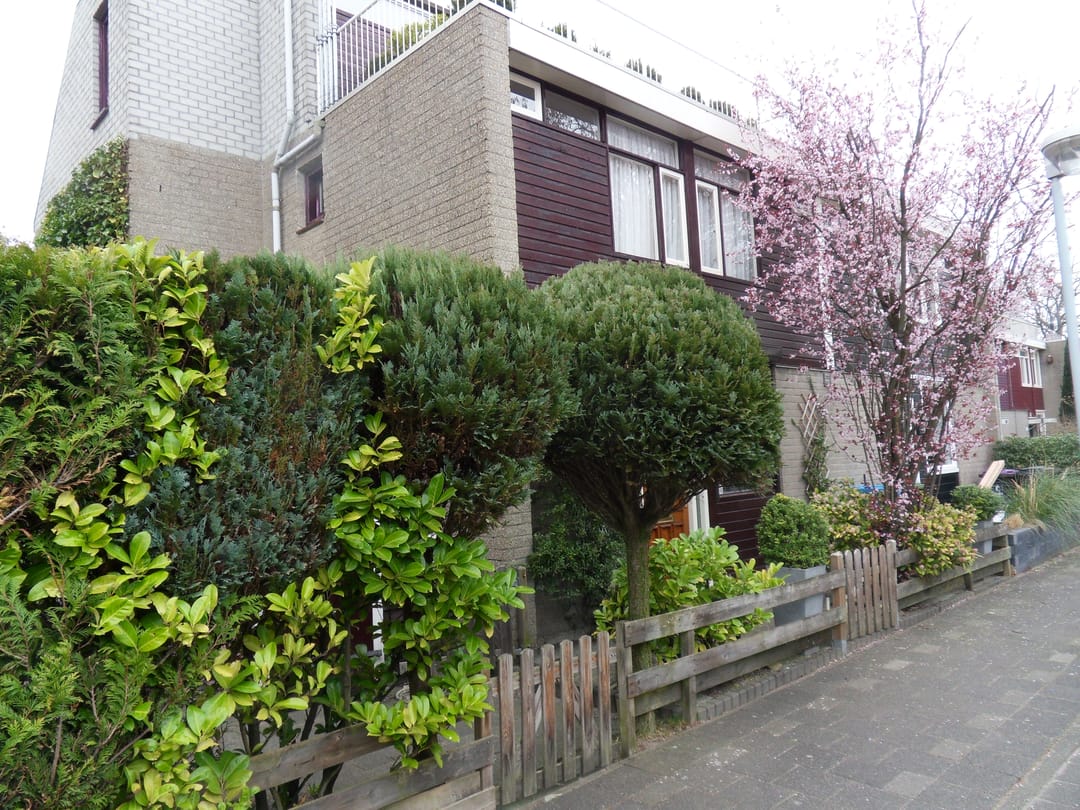 Photo 38 of Elzendreef 170