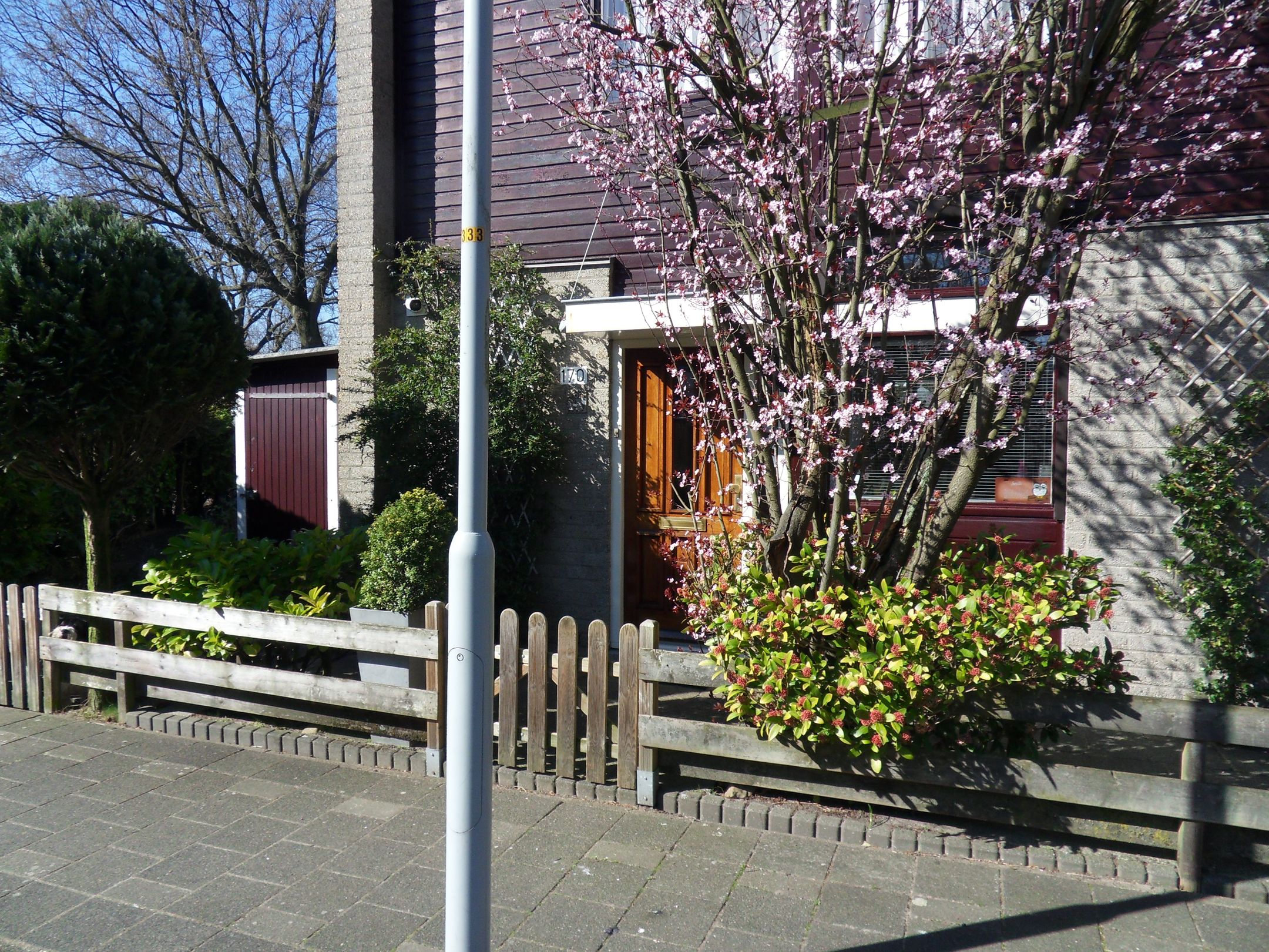 Photo 39 of Elzendreef 170