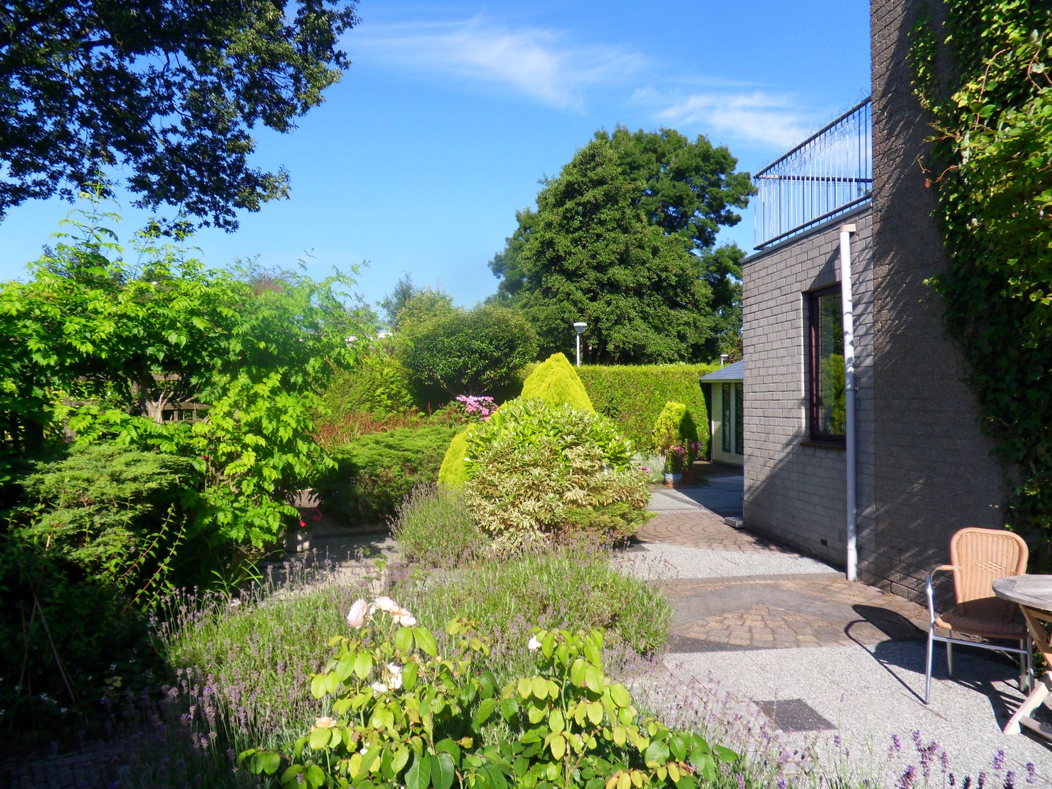 Photo 42 of Elzendreef 170