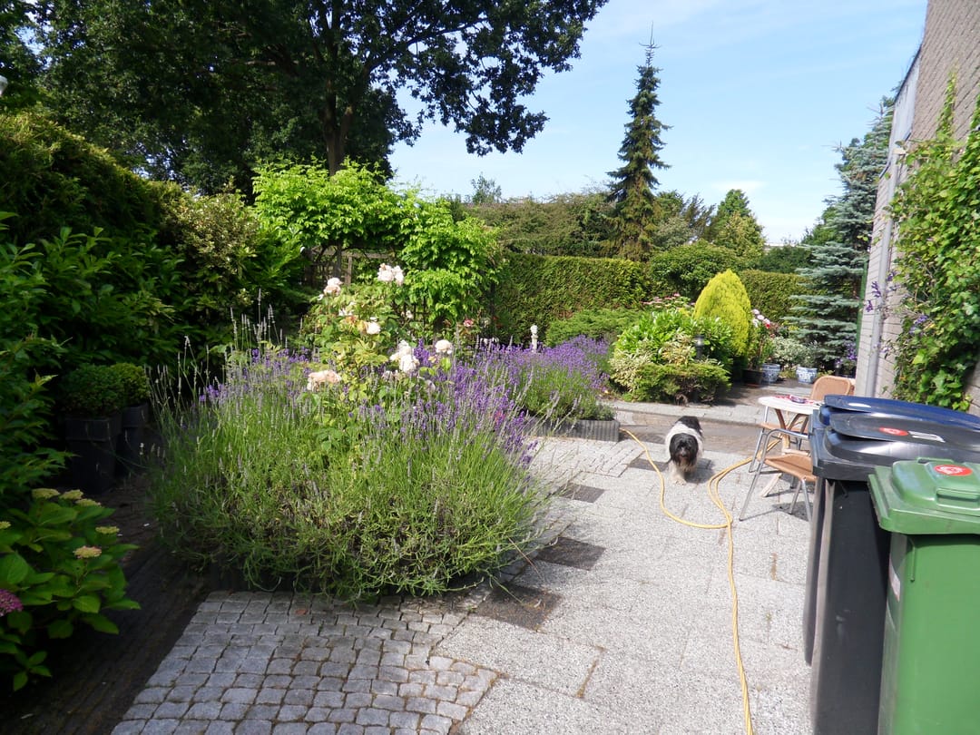 Photo 43 of Elzendreef 170