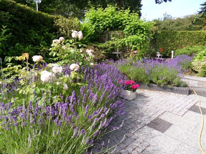 Photo 44 of Elzendreef 170