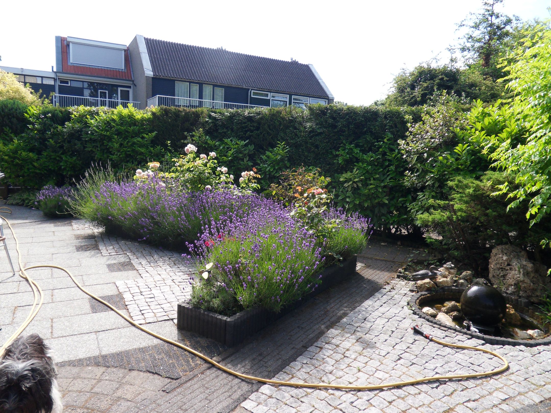 Photo 45 of Elzendreef 170