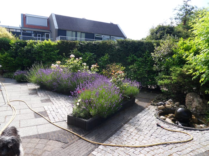 Photo 45 of Elzendreef 170