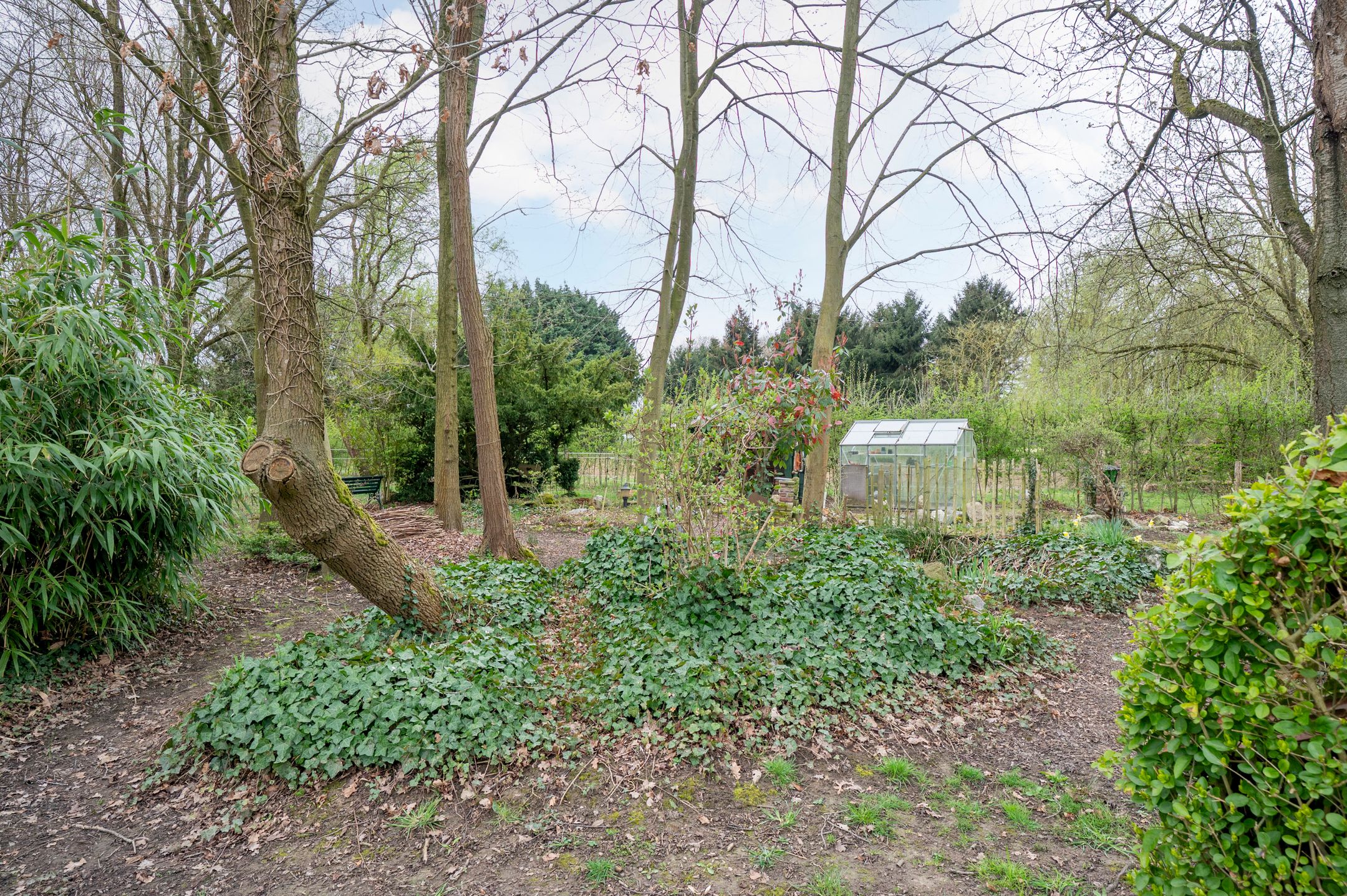 Foto 39 van Op de Baan 26