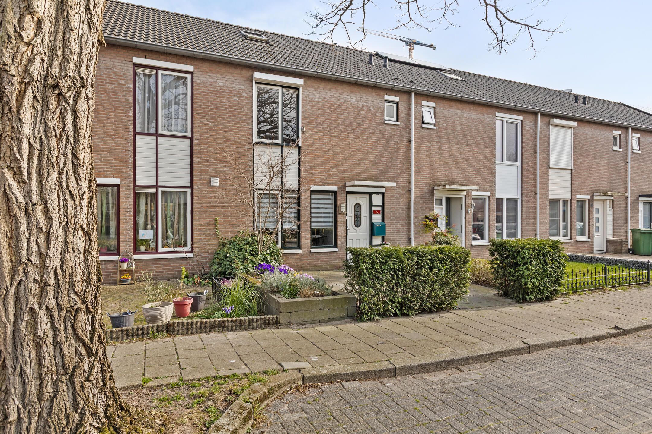 Foto 6 van Suze Groenewegstraat 3