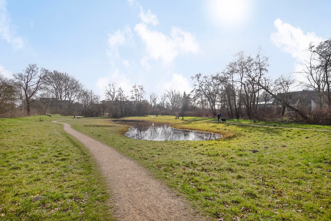 Foto 53 van Oranjelaan 45