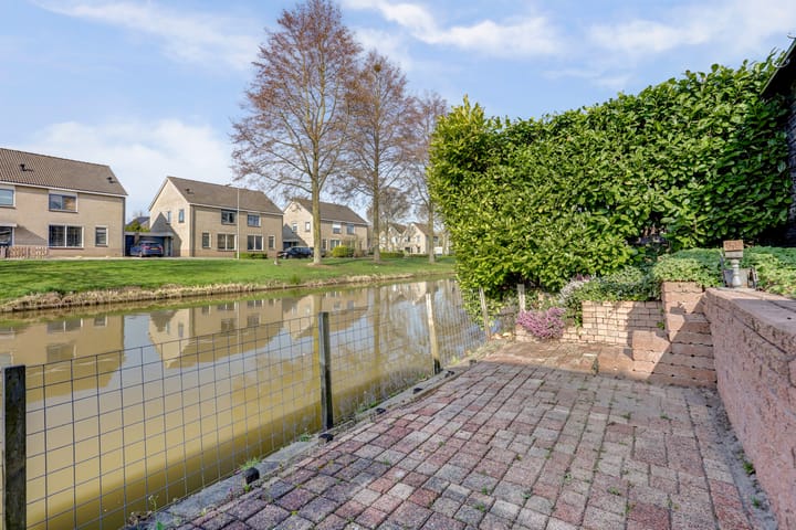 Foto 42 van Venus 177