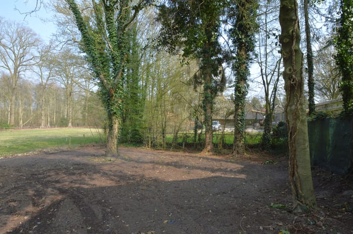 Foto 23 van Rector Nuijtsstraat 4