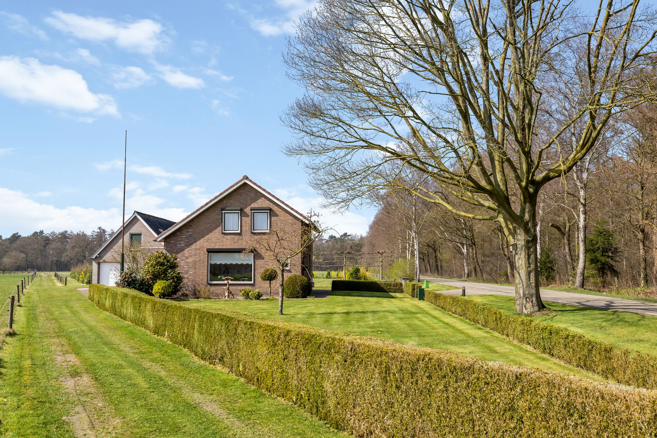 Foto 3 van Woolsdijk 3