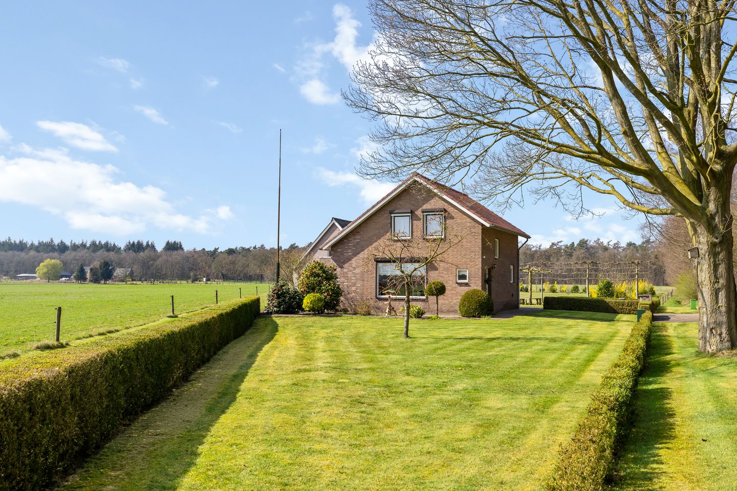 Foto 4 van Woolsdijk 3