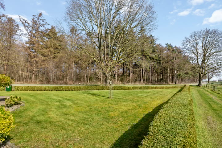 Foto 28 van Woolsdijk 3