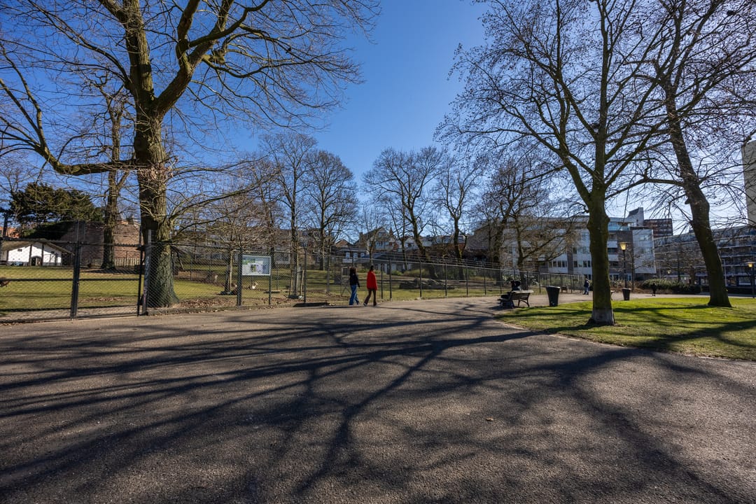 Foto 38 van Kronenburgersingel 8-A