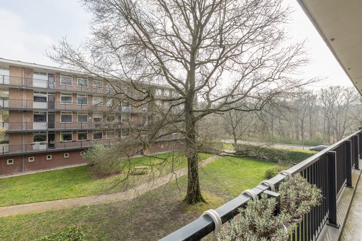 Foto 29 van Banckertlaan 161