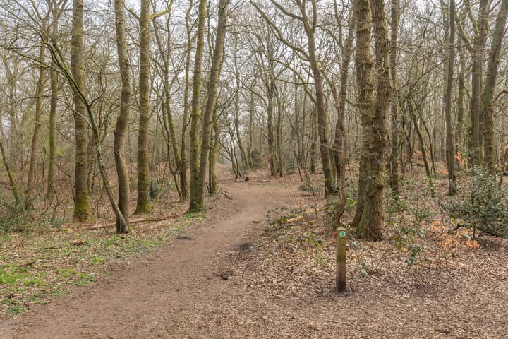 Foto 37 van Banckertlaan 161