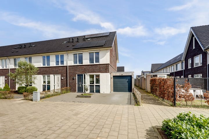 Bruin Dikkopje 29