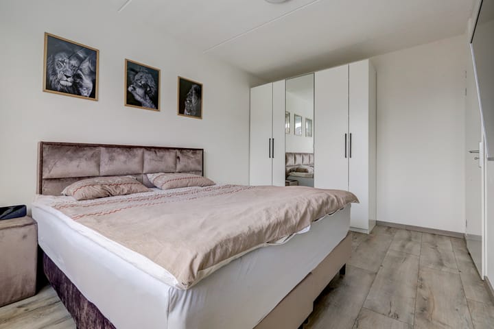 Foto 17 van Bruin Dikkopje 29