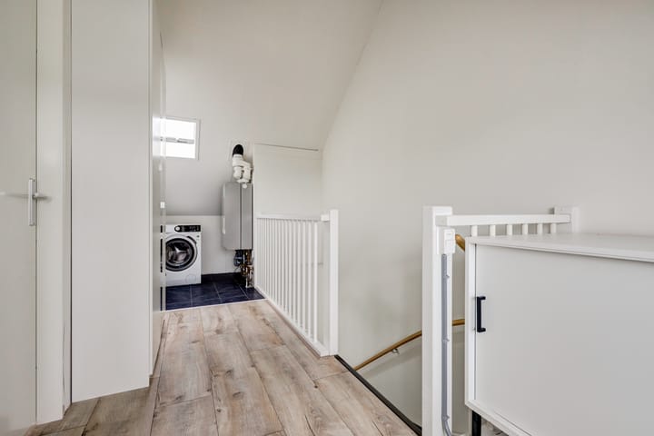 Foto 32 van Bruin Dikkopje 29