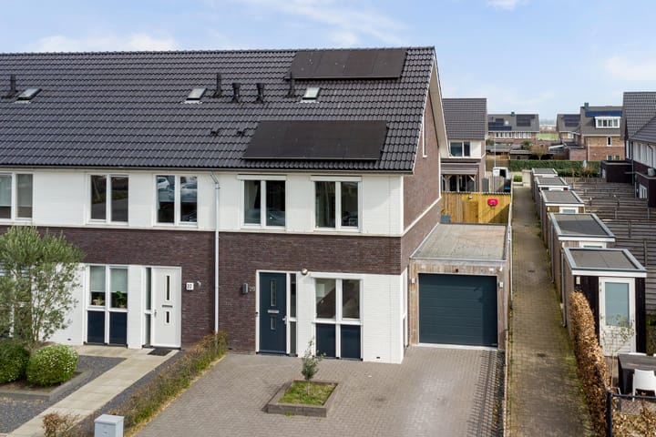 Foto 40 van Bruin Dikkopje 29