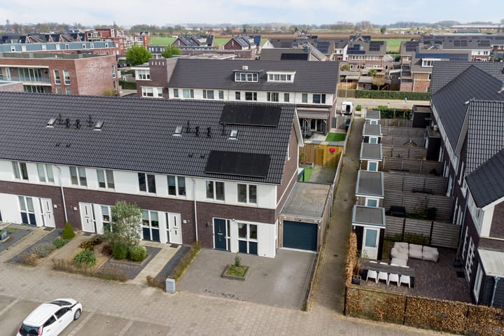 Foto 42 van Bruin Dikkopje 29