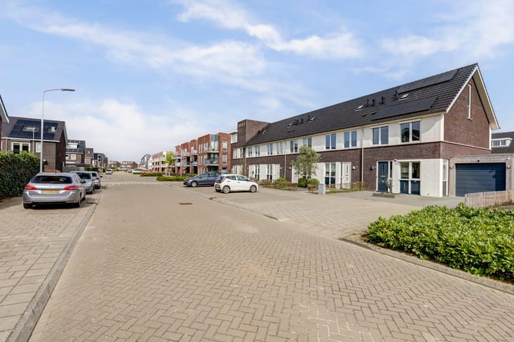 Foto 43 van Bruin Dikkopje 29