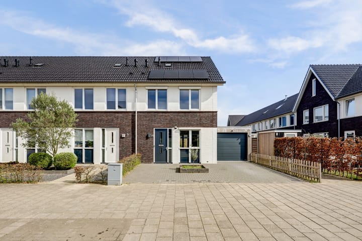 Foto 44 van Bruin Dikkopje 29