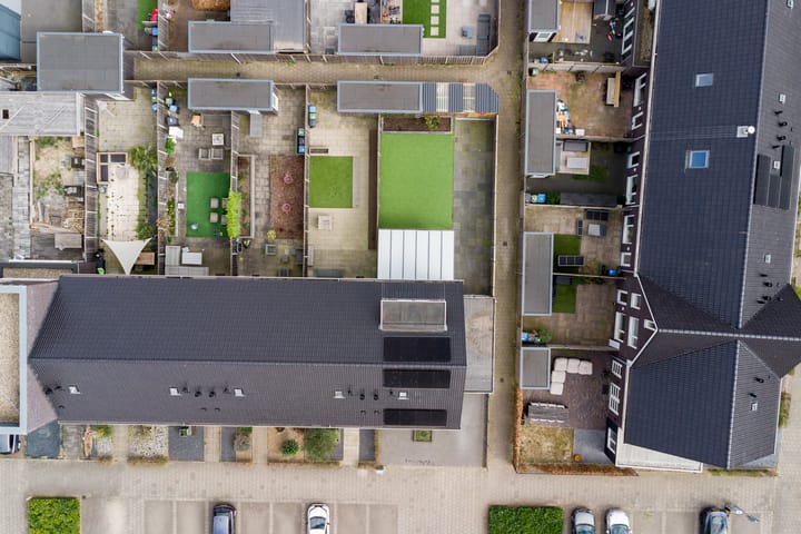 Foto 45 van Bruin Dikkopje 29