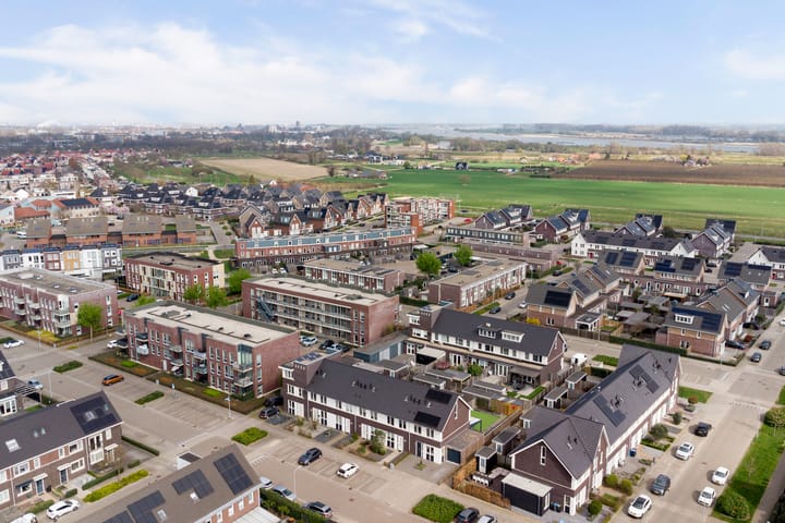 Foto 46 van Bruin Dikkopje 29