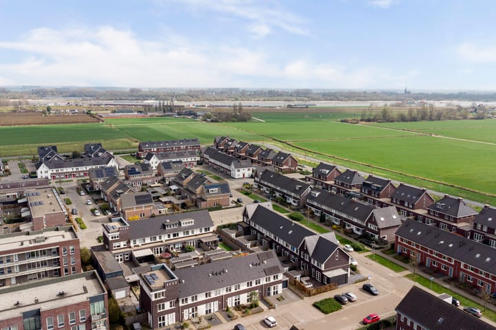 Foto 48 van Bruin Dikkopje 29