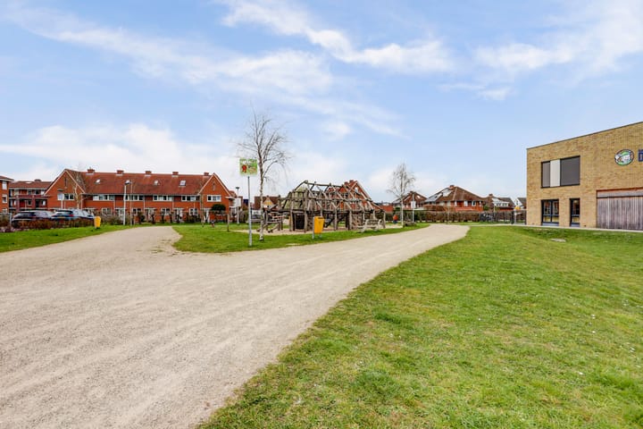 Foto 49 van Bruin Dikkopje 29