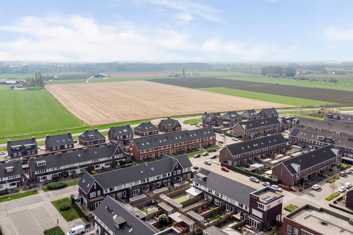 Foto 50 van Bruin Dikkopje 29