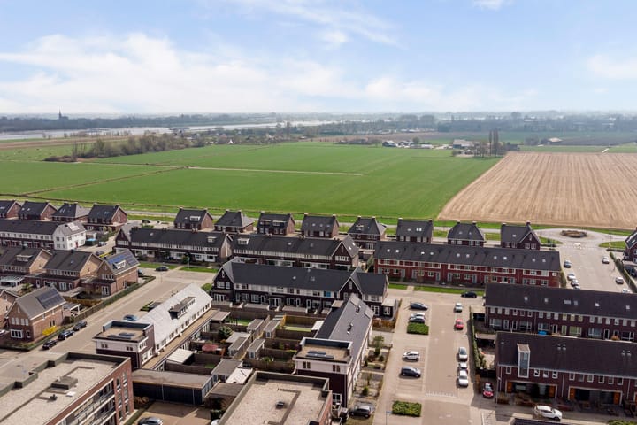 Foto 51 van Bruin Dikkopje 29