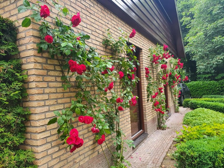 Foto 33 van Bernadottelaan 9