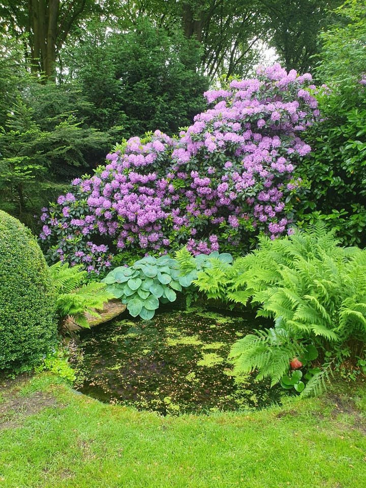 Foto 34 van Bernadottelaan 9