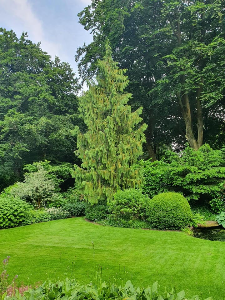 Foto 35 van Bernadottelaan 9