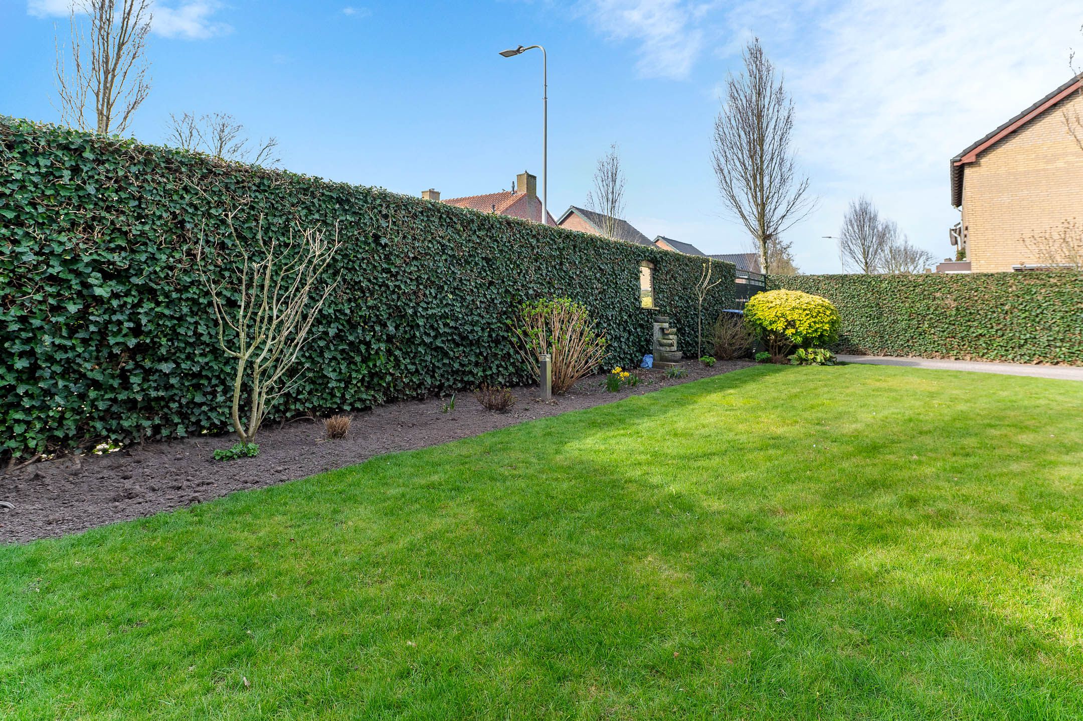 Foto 36 van Lenaertsstraat 15