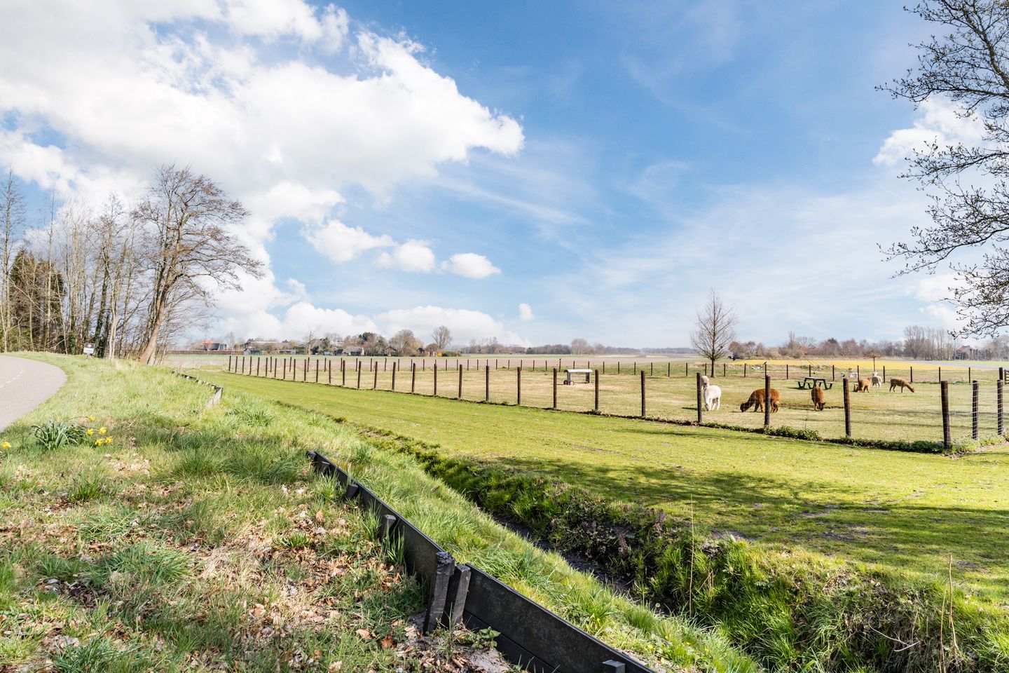 Photo 29 of Herenweg 282-73