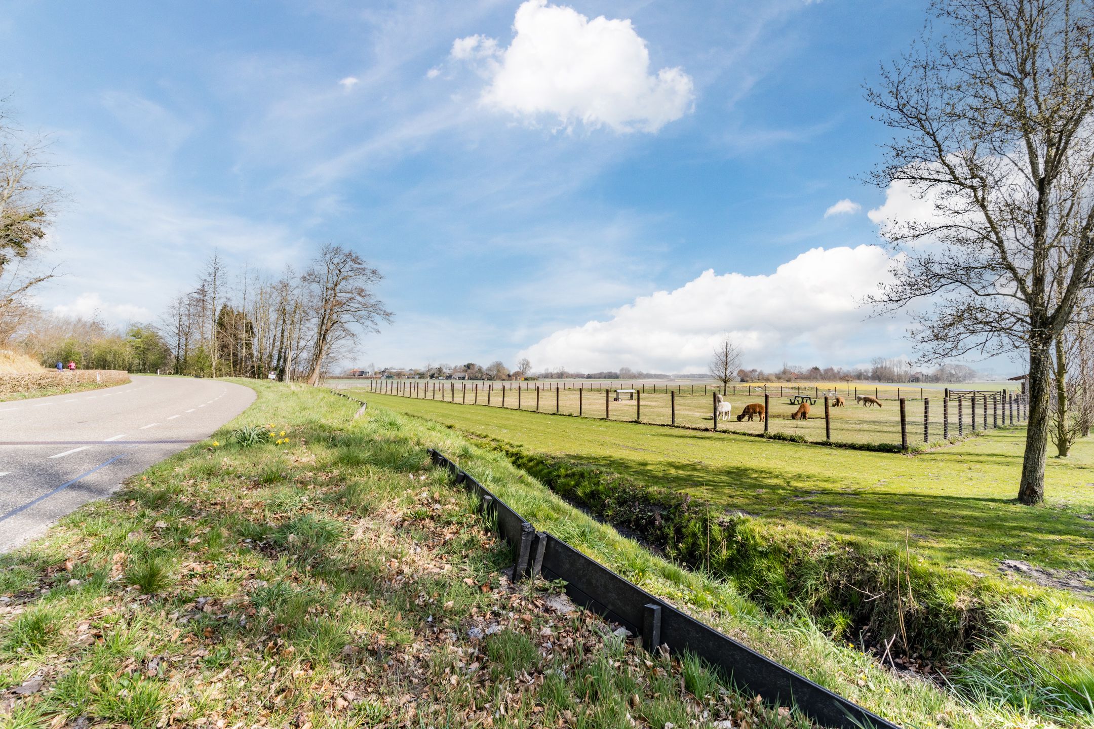 Photo 30 of Herenweg 282-73