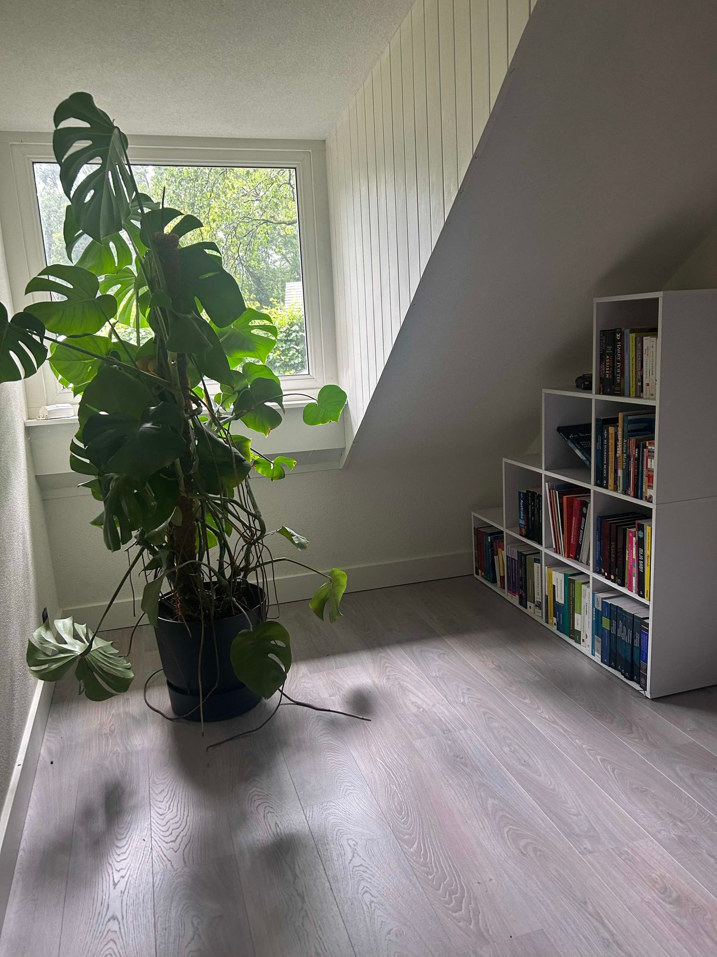 Foto 20 van Prinses Christinalaan 9