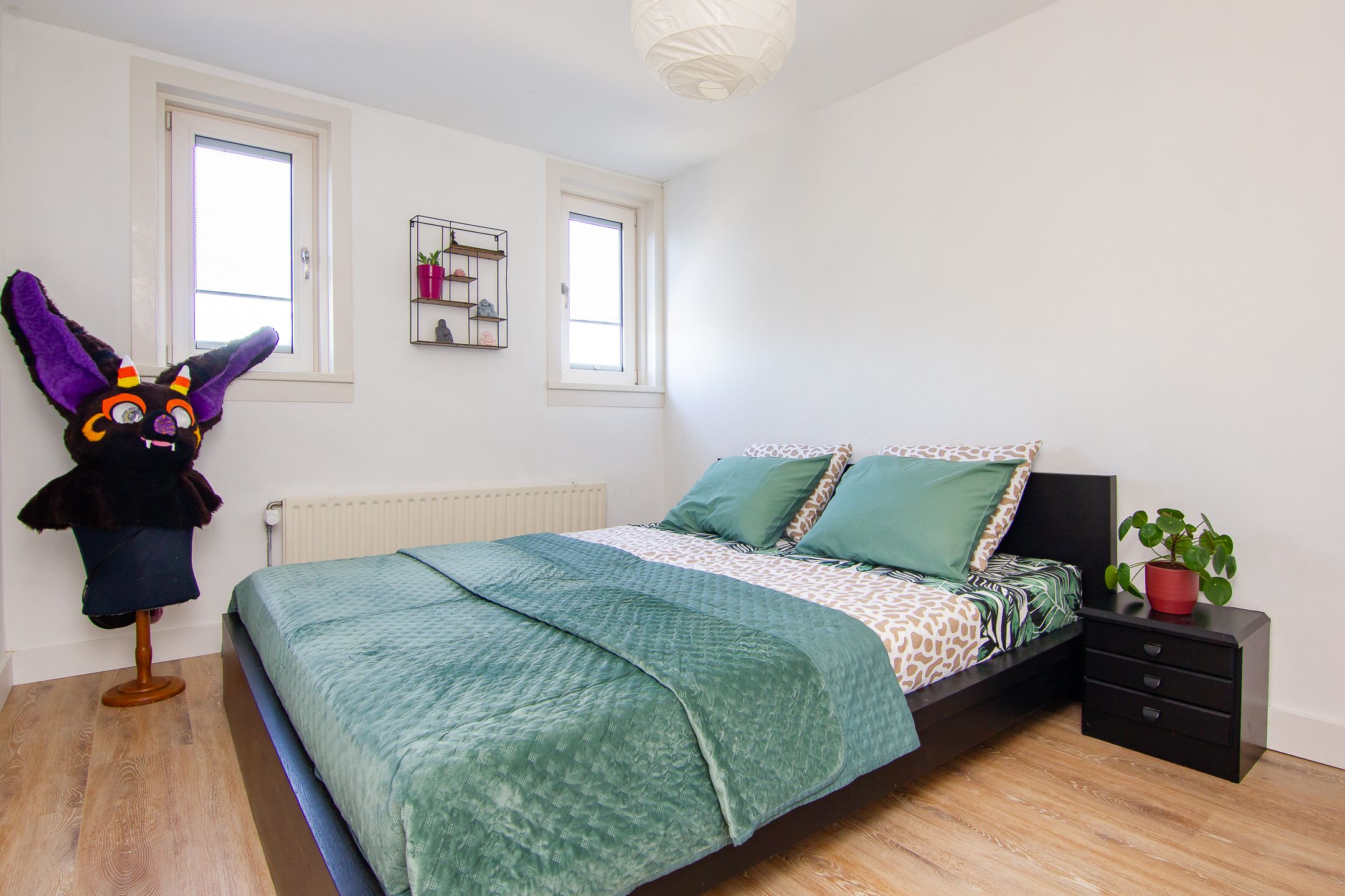 Foto 51 van Schokker 66