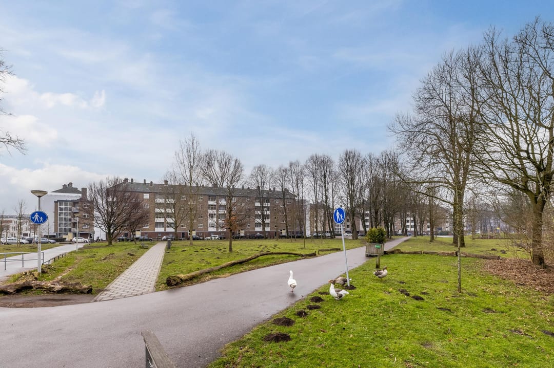 Foto 32 van Osdorper Ban 597