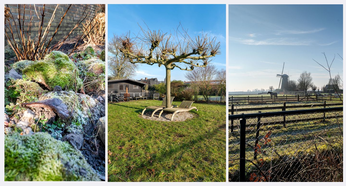 Foto 4 van Bergsestraat 89