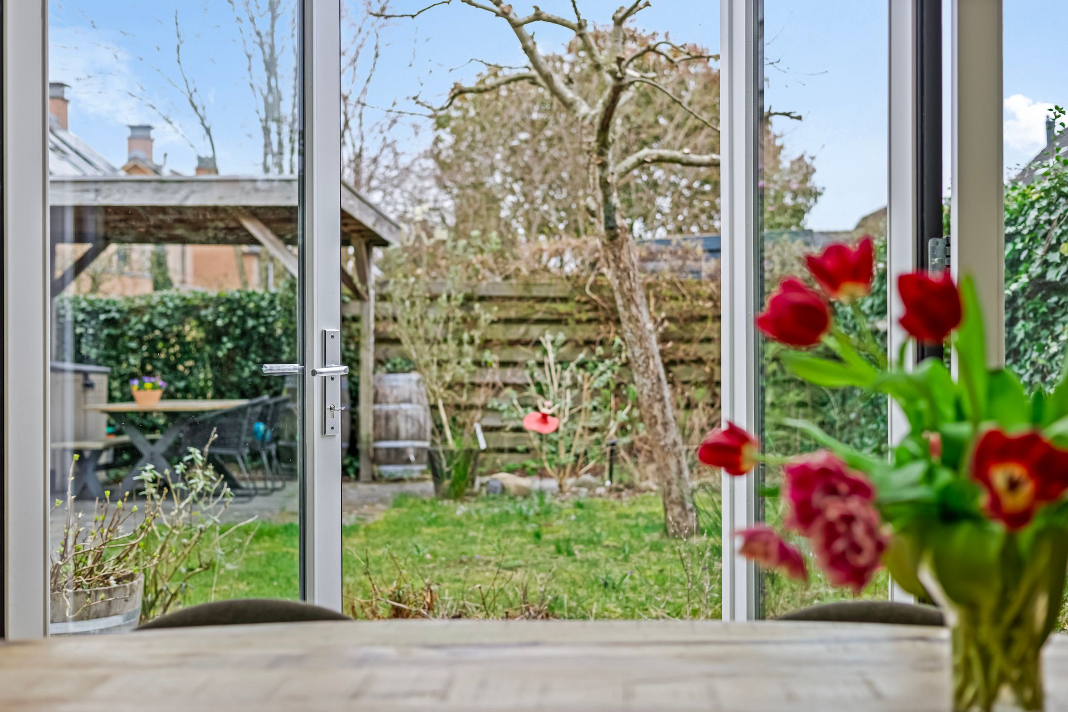 Foto 21 van Virgo 62