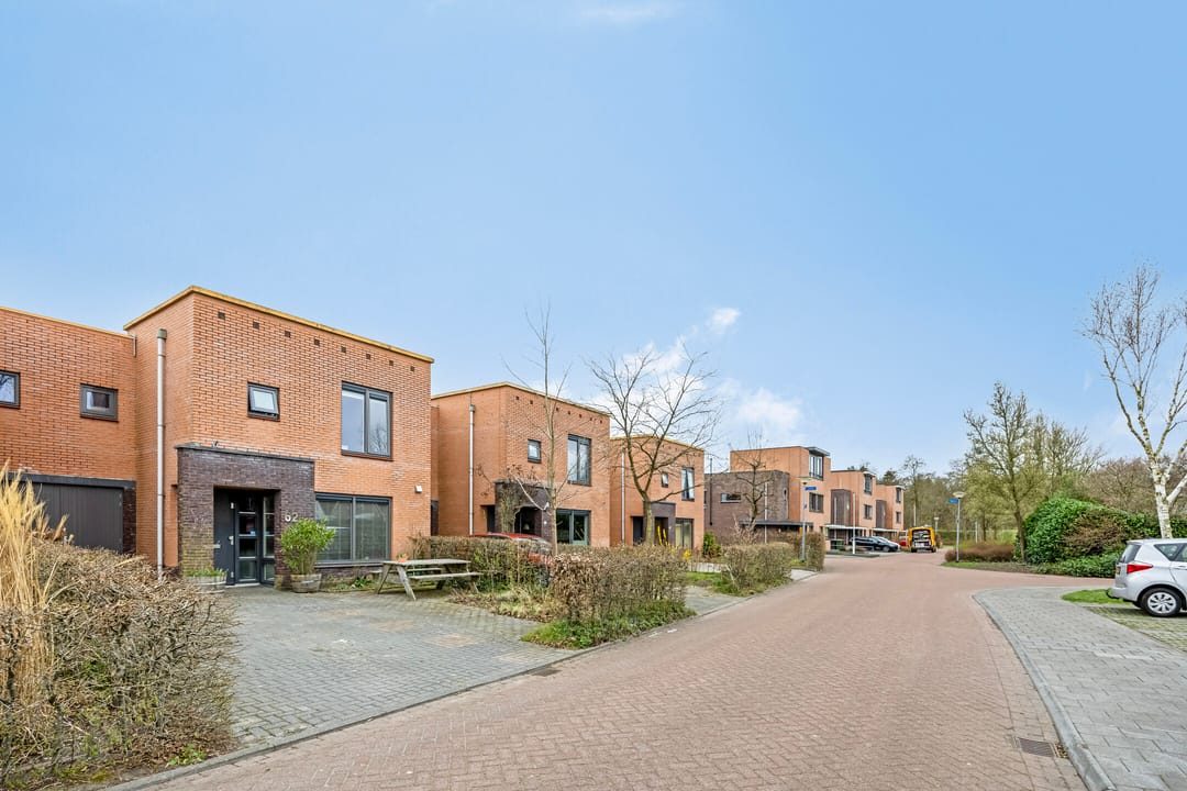 Foto 52 van Virgo 62