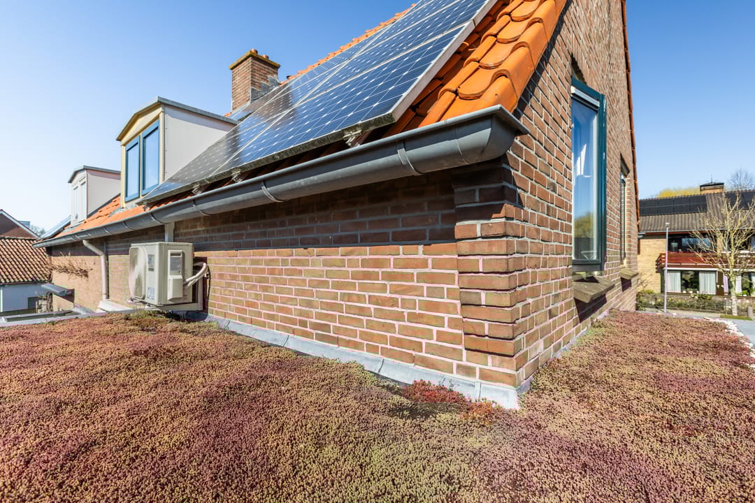 Foto 31 van Barwoutswaarder 25-G