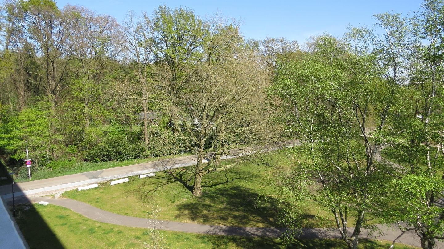 Photo 10 of Jan Wiegersstraat 127