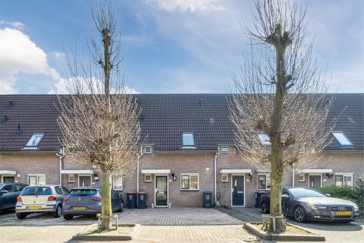 Bekijk foto van Hofnar 44