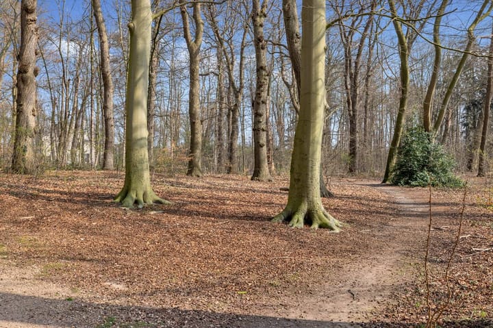 Foto 40 van Pskovlaan 11