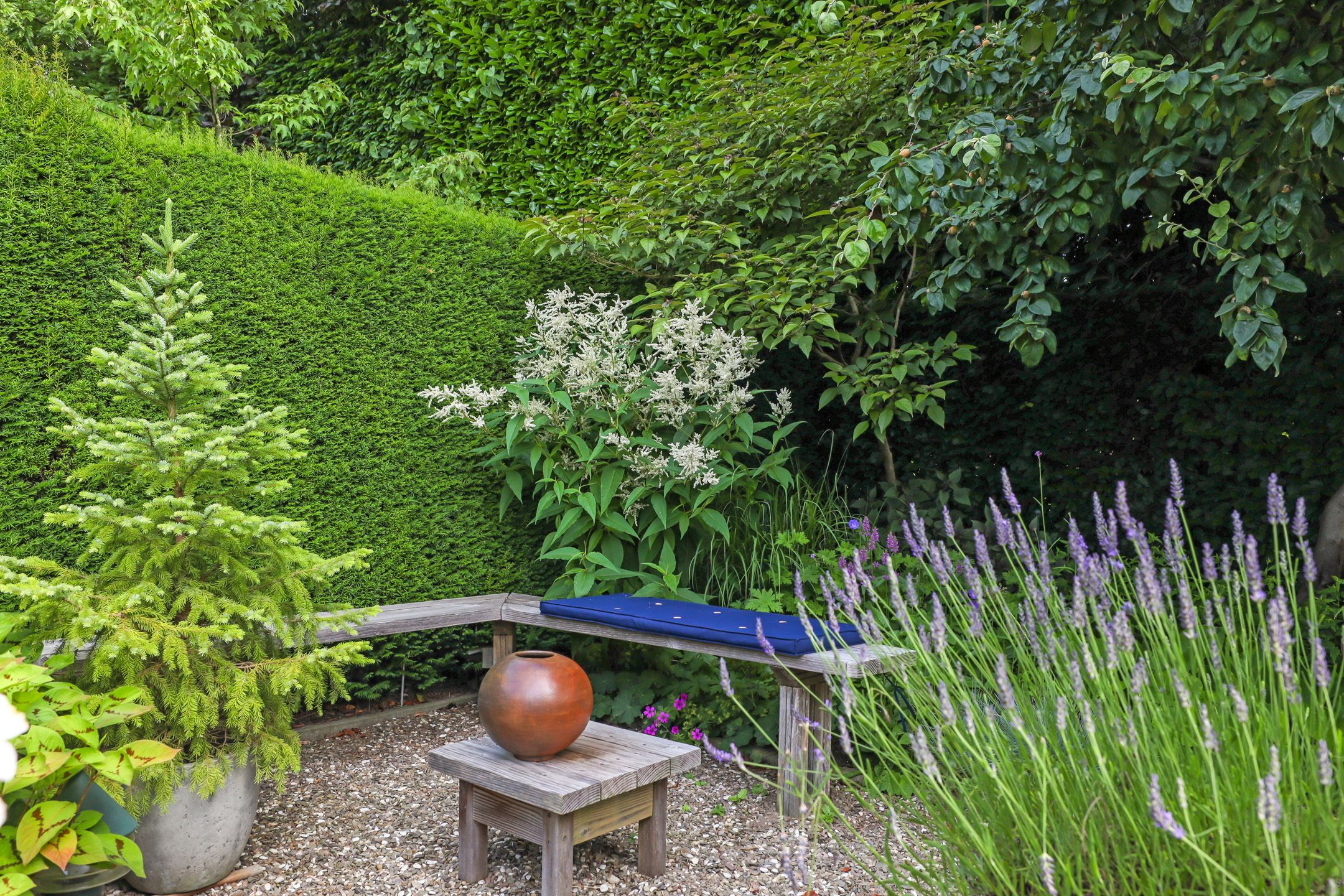 Foto 48 van Keppelseweg 64