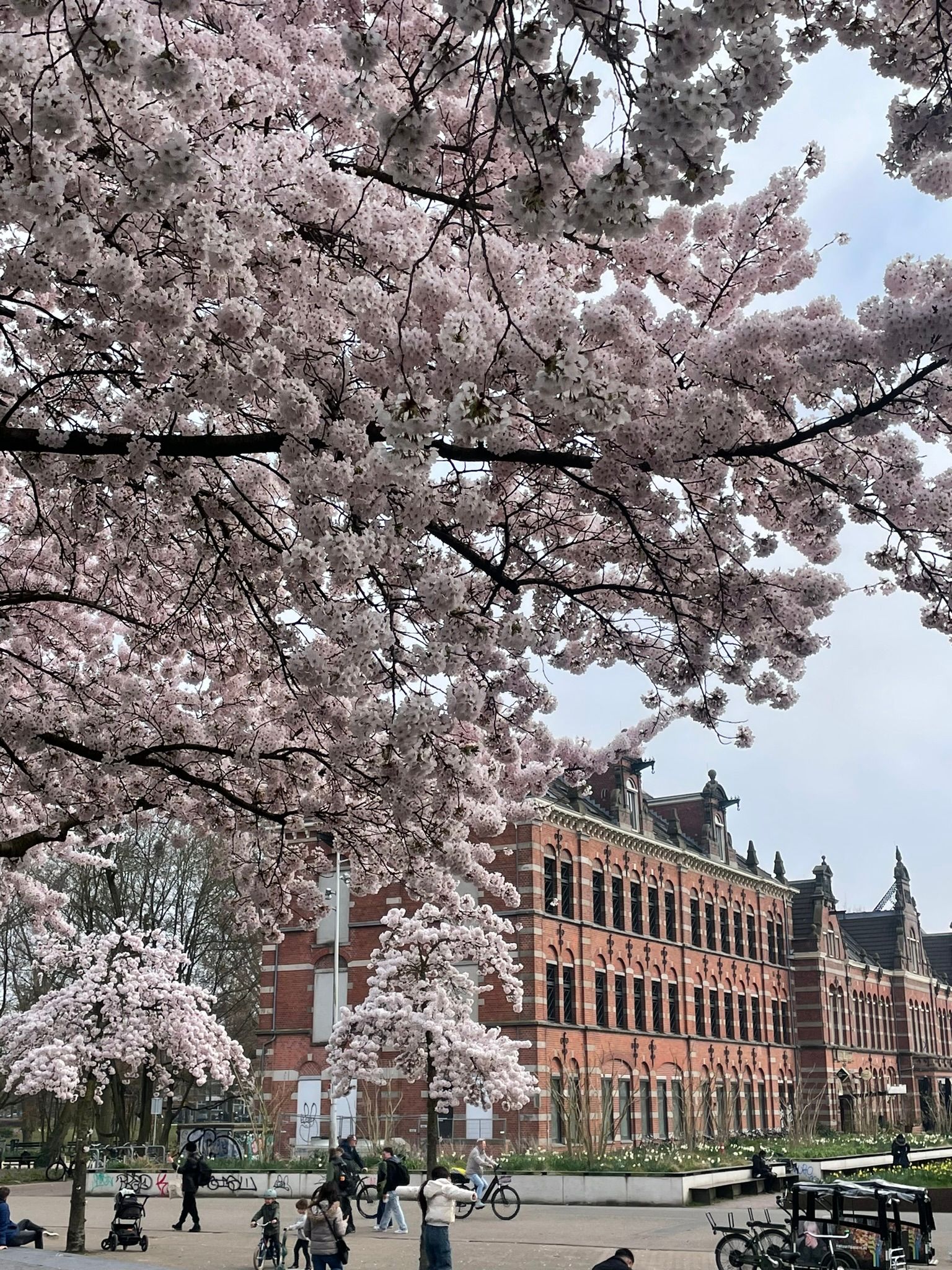 Foto 27 van Haarlemmerweg 199-1