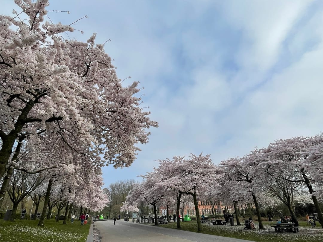 Foto 28 van Haarlemmerweg 199-1